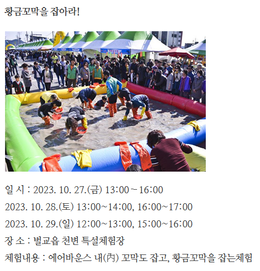 벌교꼬막 축제 프로그램