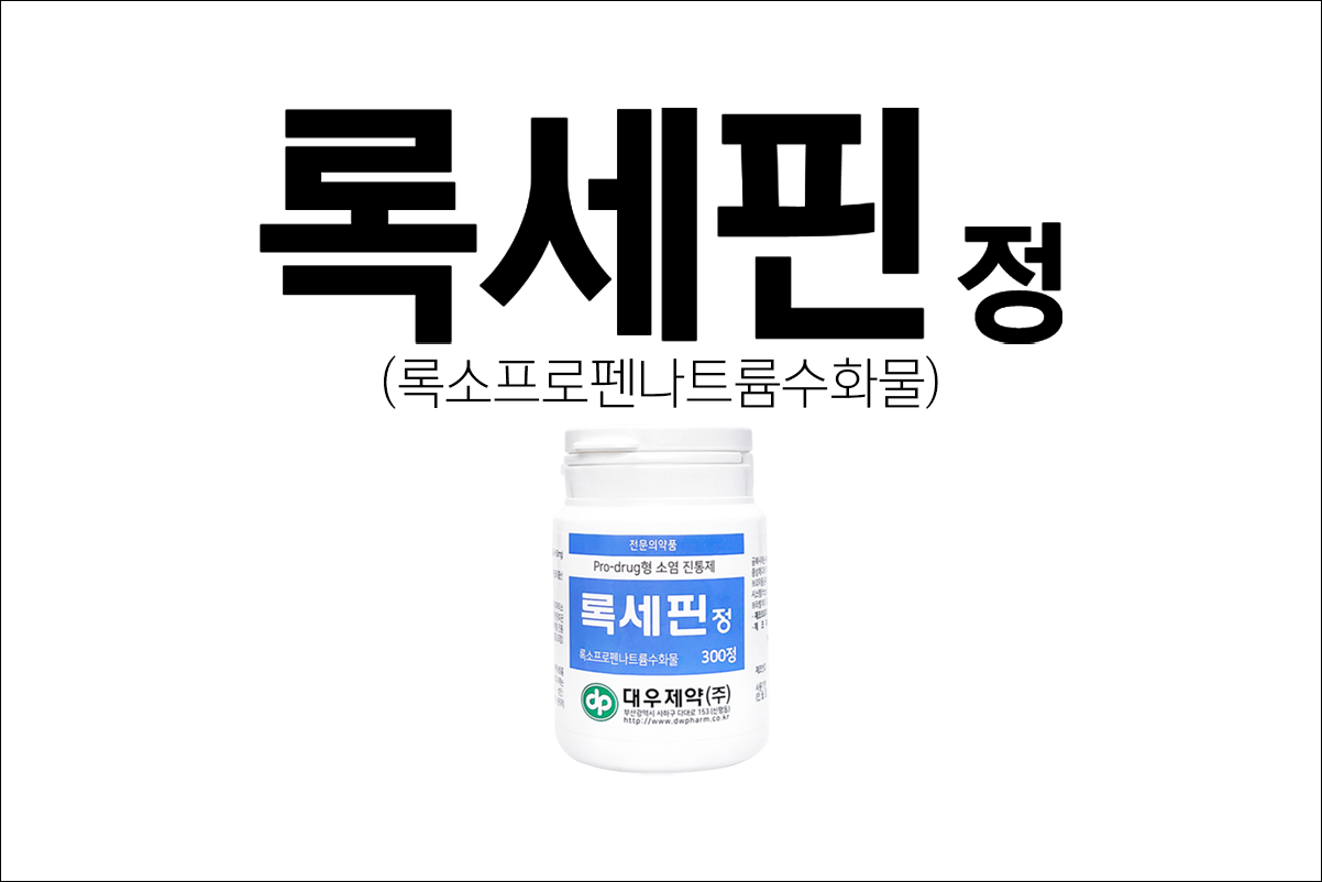 록세핀정