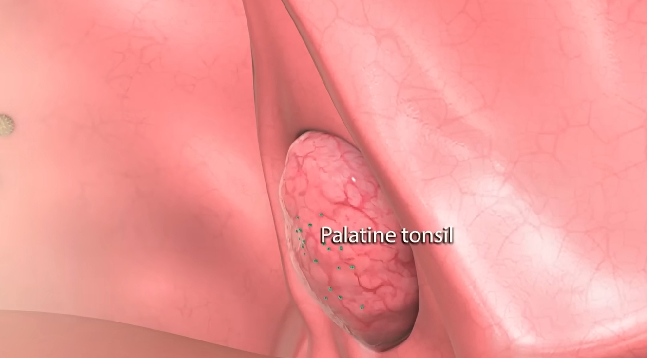 콧물이 계속 나는 이유