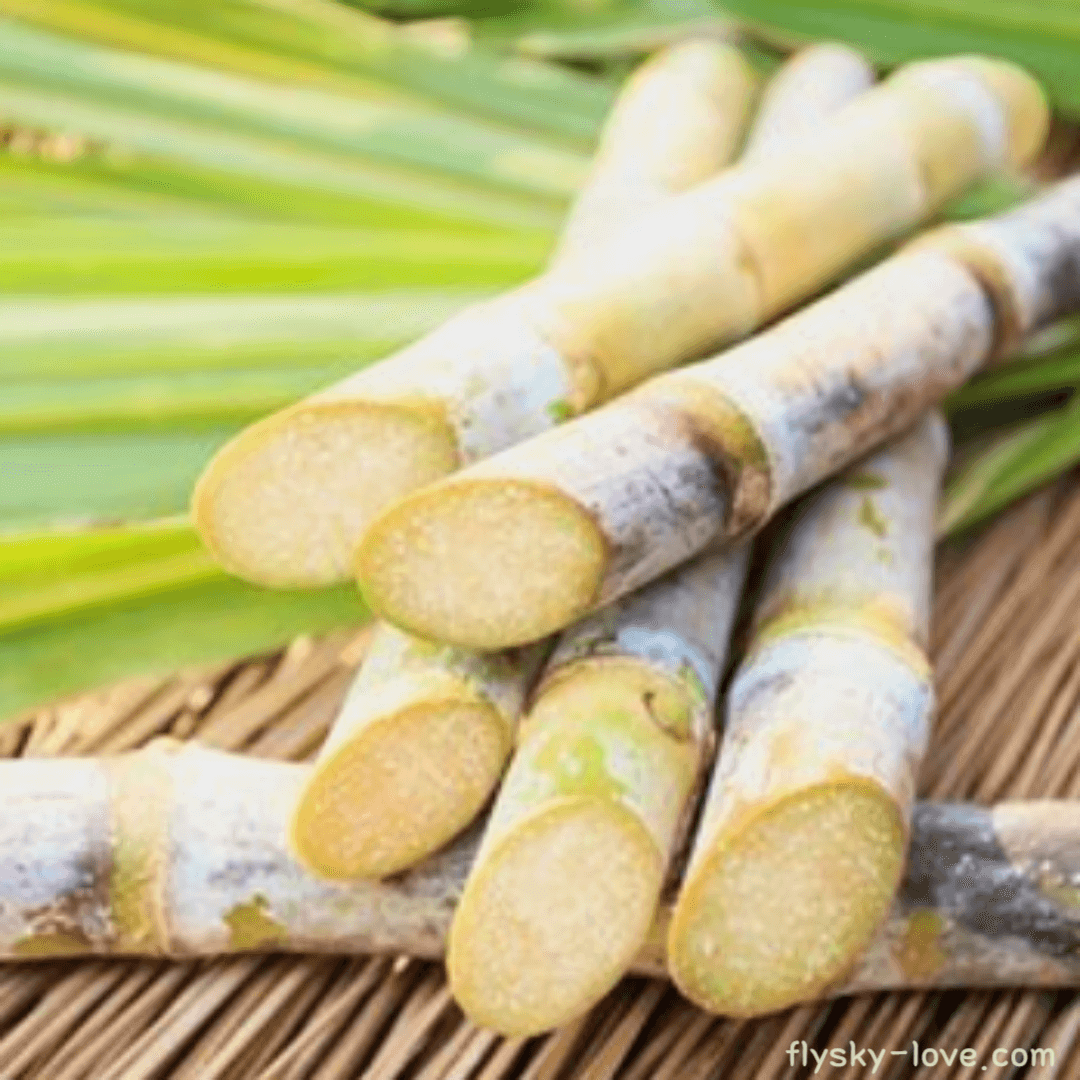 당밀 (Molasses), 사탕수수