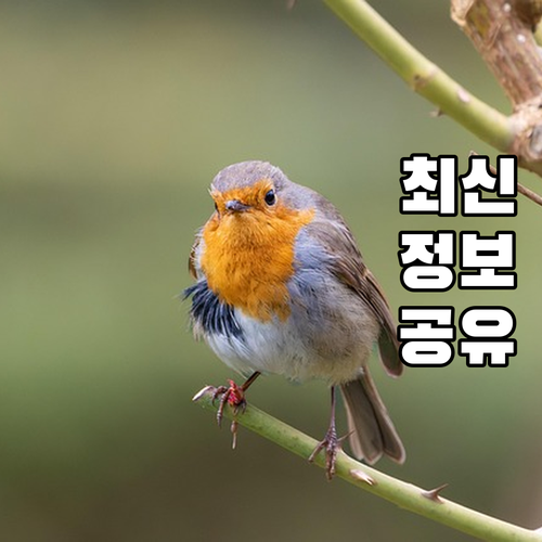 자동차 문제, 혼자 해결? 자가 진단