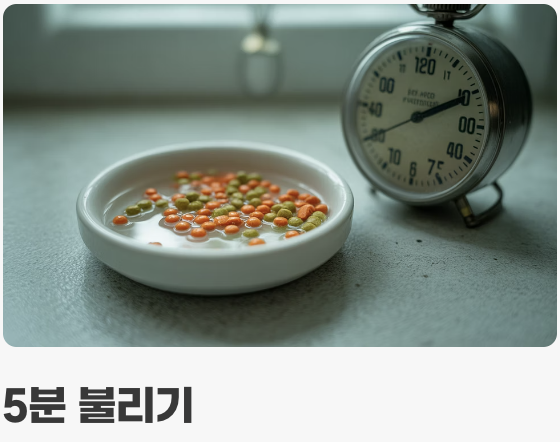 먹이 관리 - '천천히, 조금씩'이 핵심