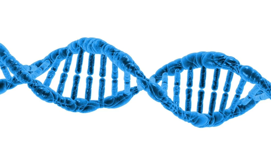 인간-퇴화-노화-DNA-손상-유전자-게놈-RNA