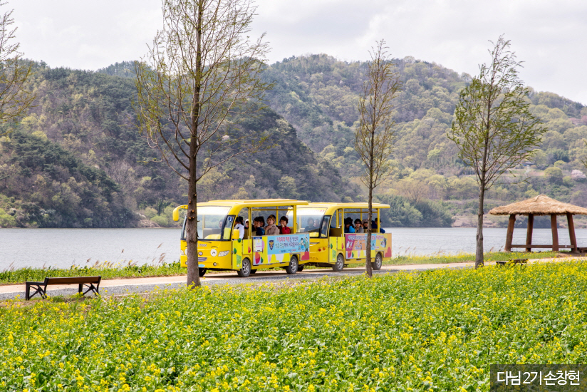 제 19회 창녕 낙동강 유채축제 기본일정 및 프로그램 소개