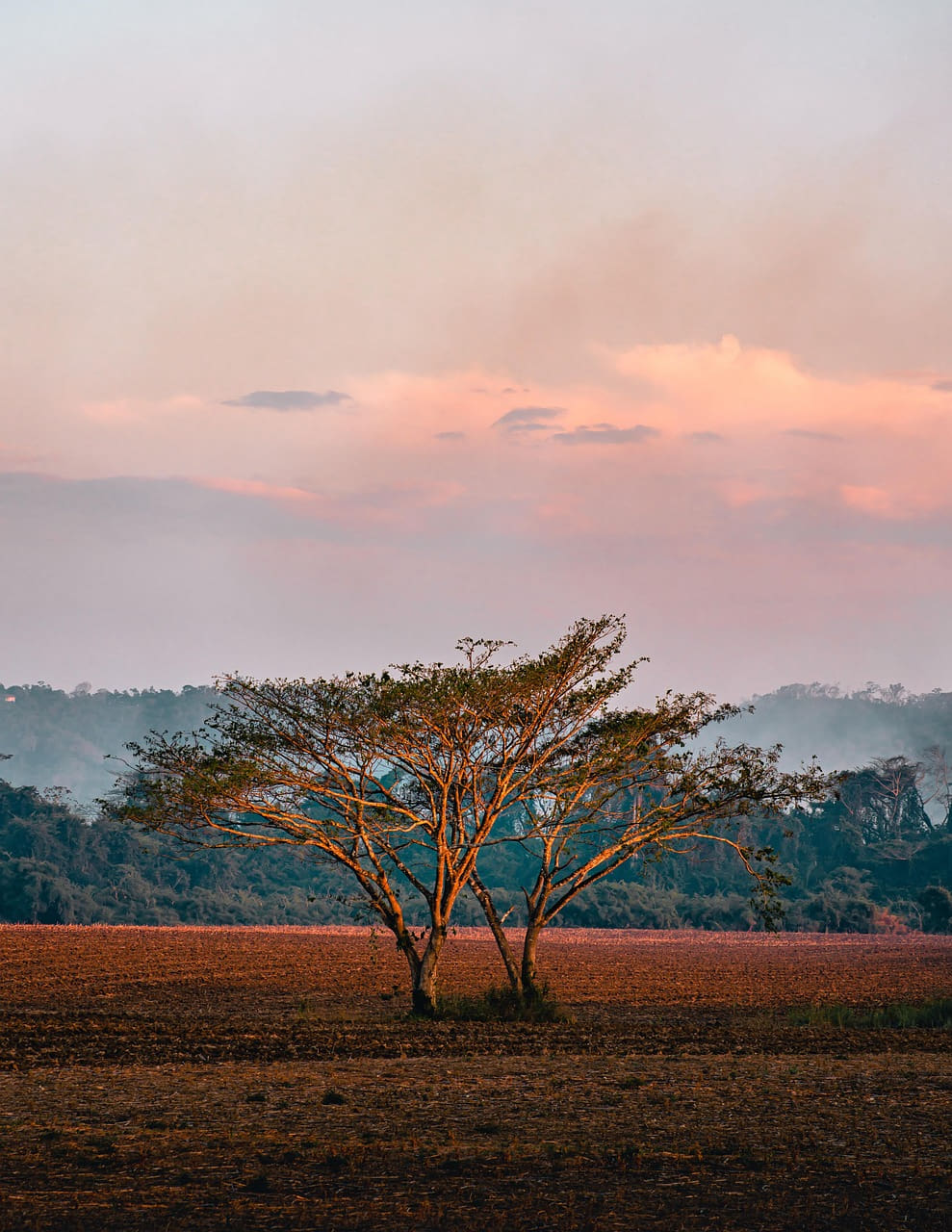 합성섬유 의류와 세탁이 미세 플라스틱 오염에 미치는 역할