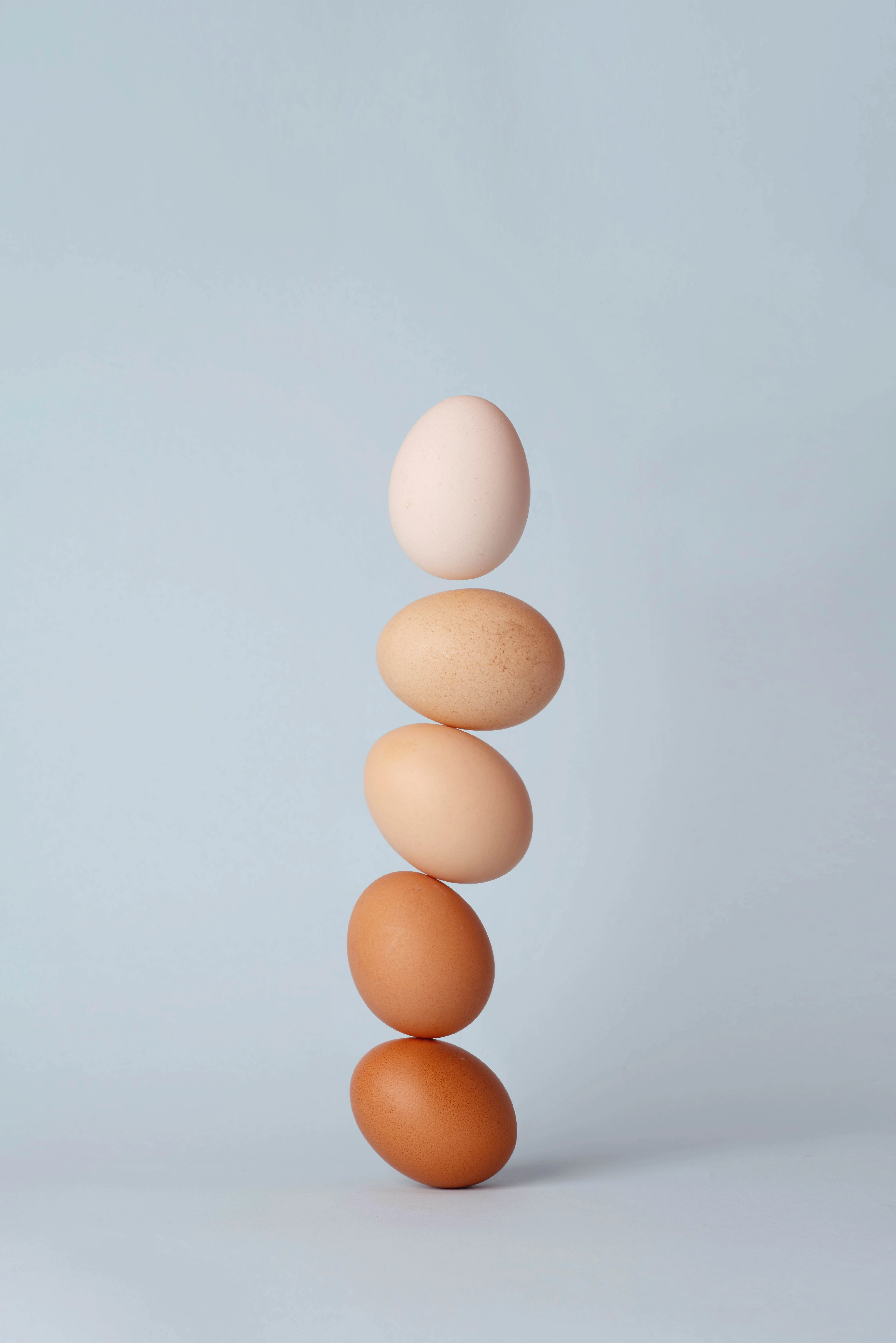 계란