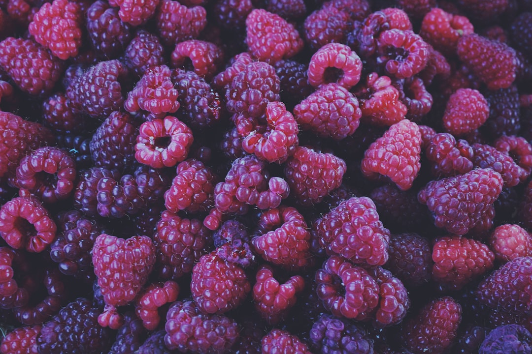 Bilberry