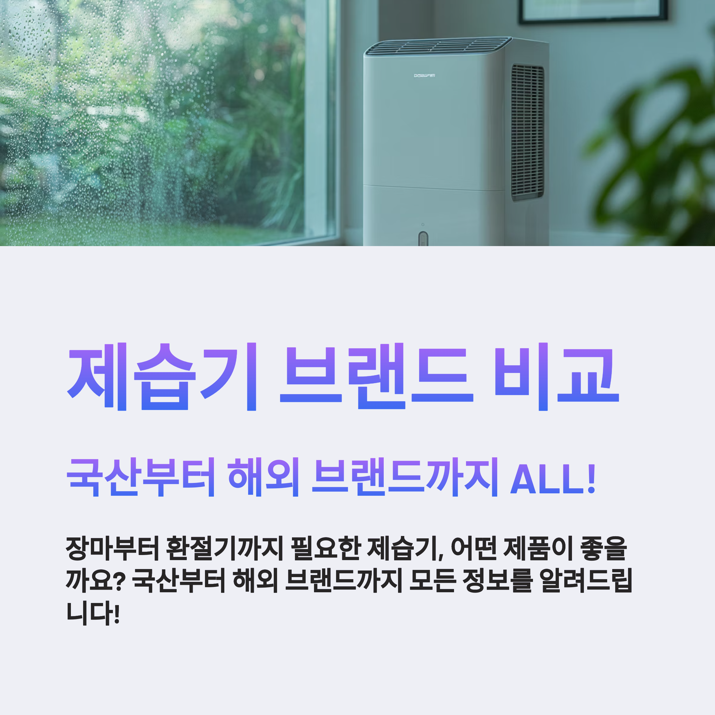 제습기 브랜드 완전 분석