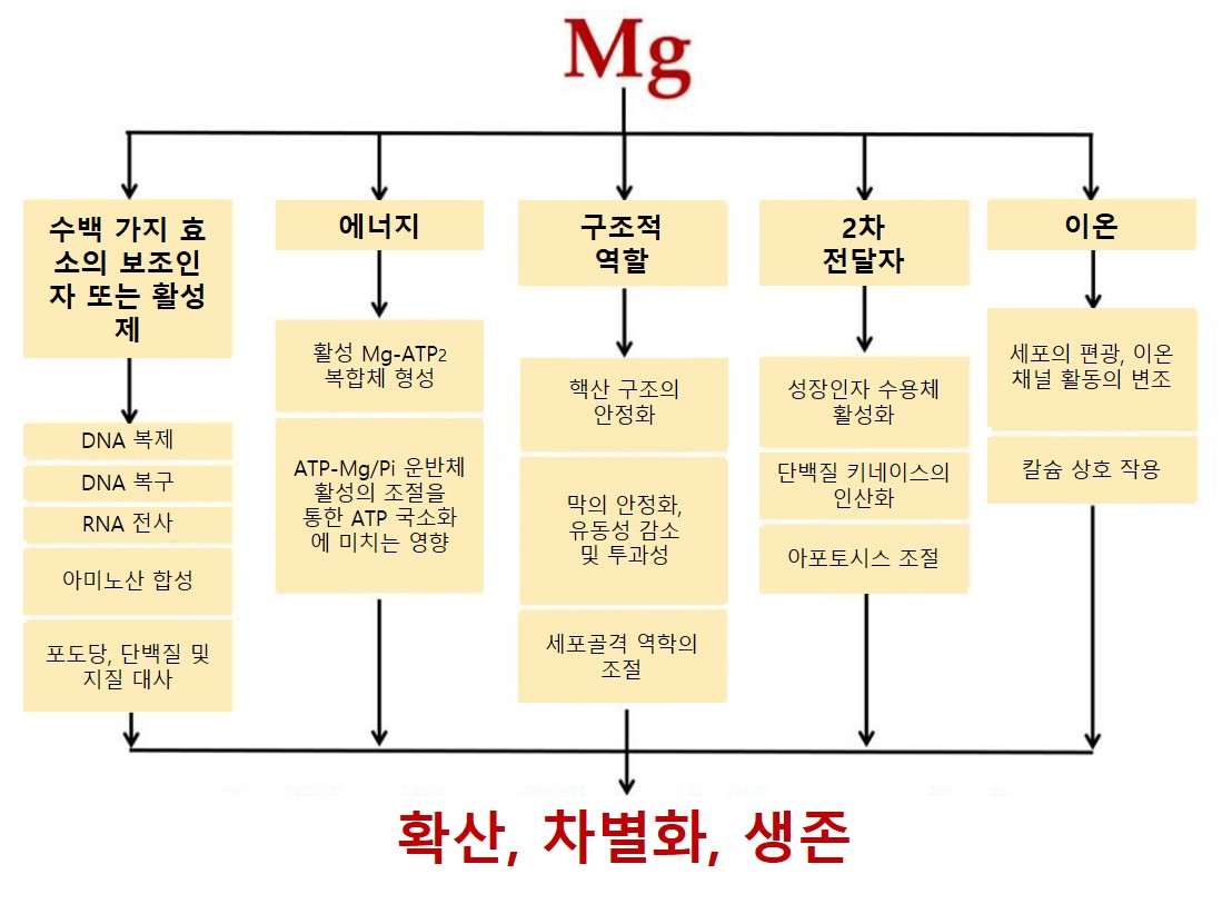 미네랄