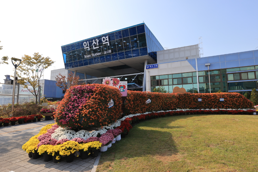 익산-천만송이-국화축제