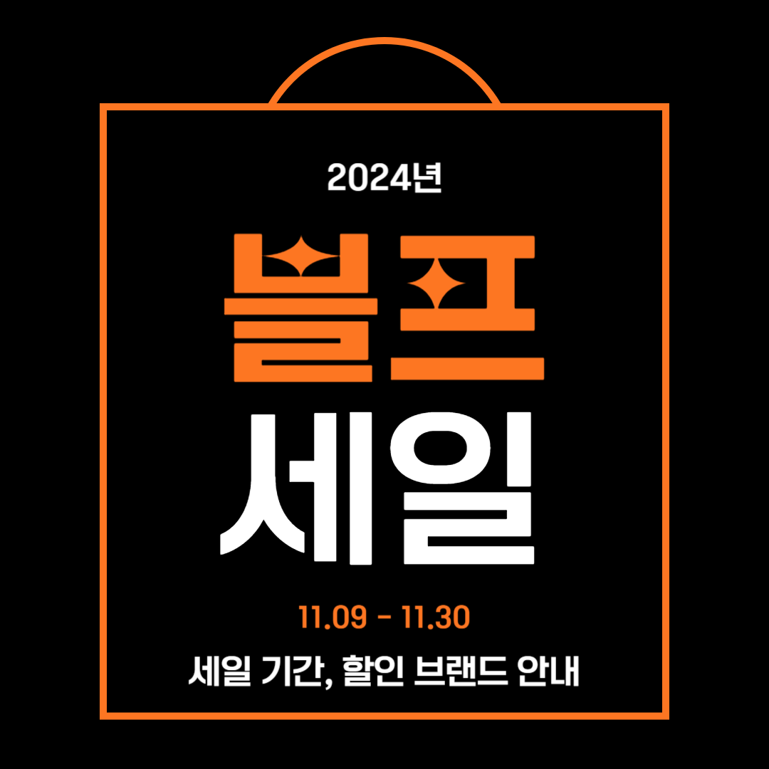 블랙프라이데이 기간 할인