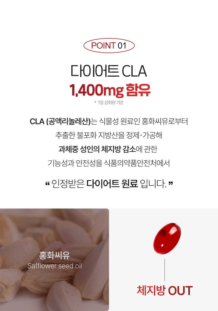 푸응 팻버닝 나이트버닝 다이어트