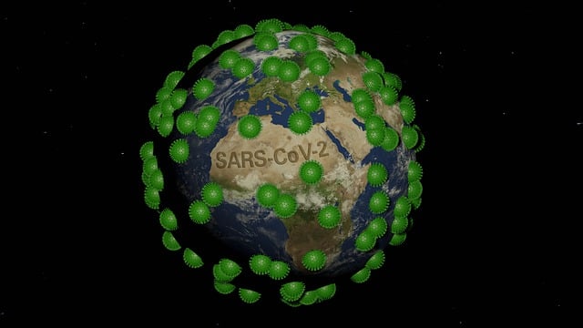 전세대출 조건 4