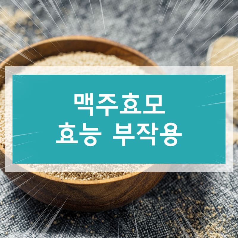 맥주효모 효능 부작용에 대하여