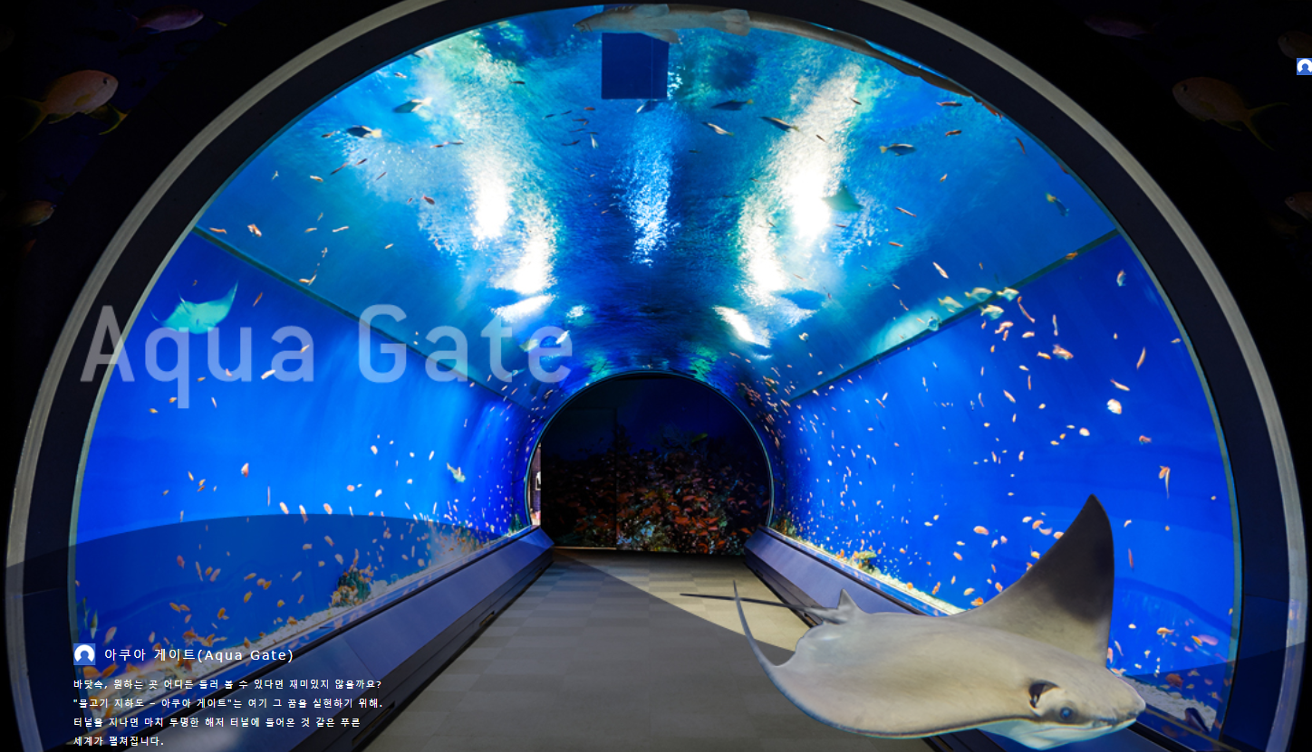 아쿠아 게이트