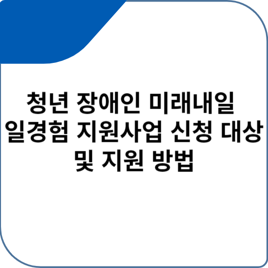 청년 장애인 미래내일 일경험 지원사업 신청 대상 및 지원 방법