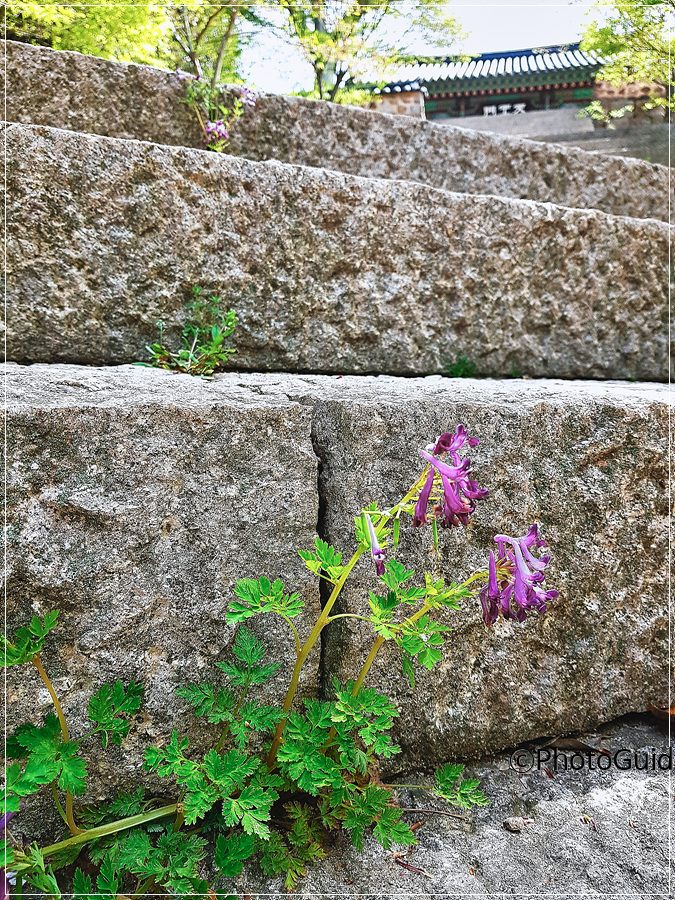 해남-달마산-미황사-포토가이드-PhotoGuide.com