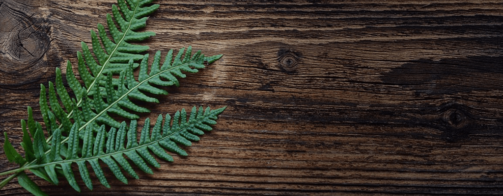 [색채심리학] 갈색: 긍정적/부정적 효과, 어울리는 곳