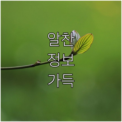 2025 거제대학교 기숙사비 지원 신..