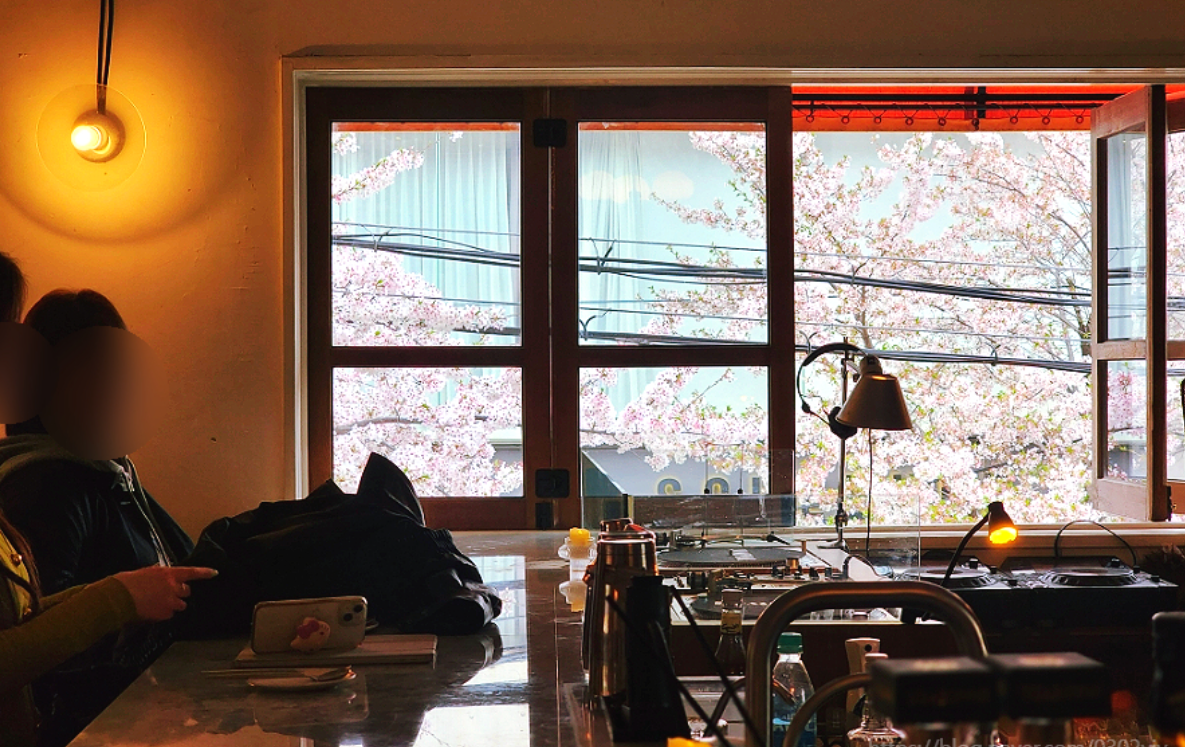합정-망원-숨은-감성-벚꽃-카페-7-인스타-위치-예약-주차