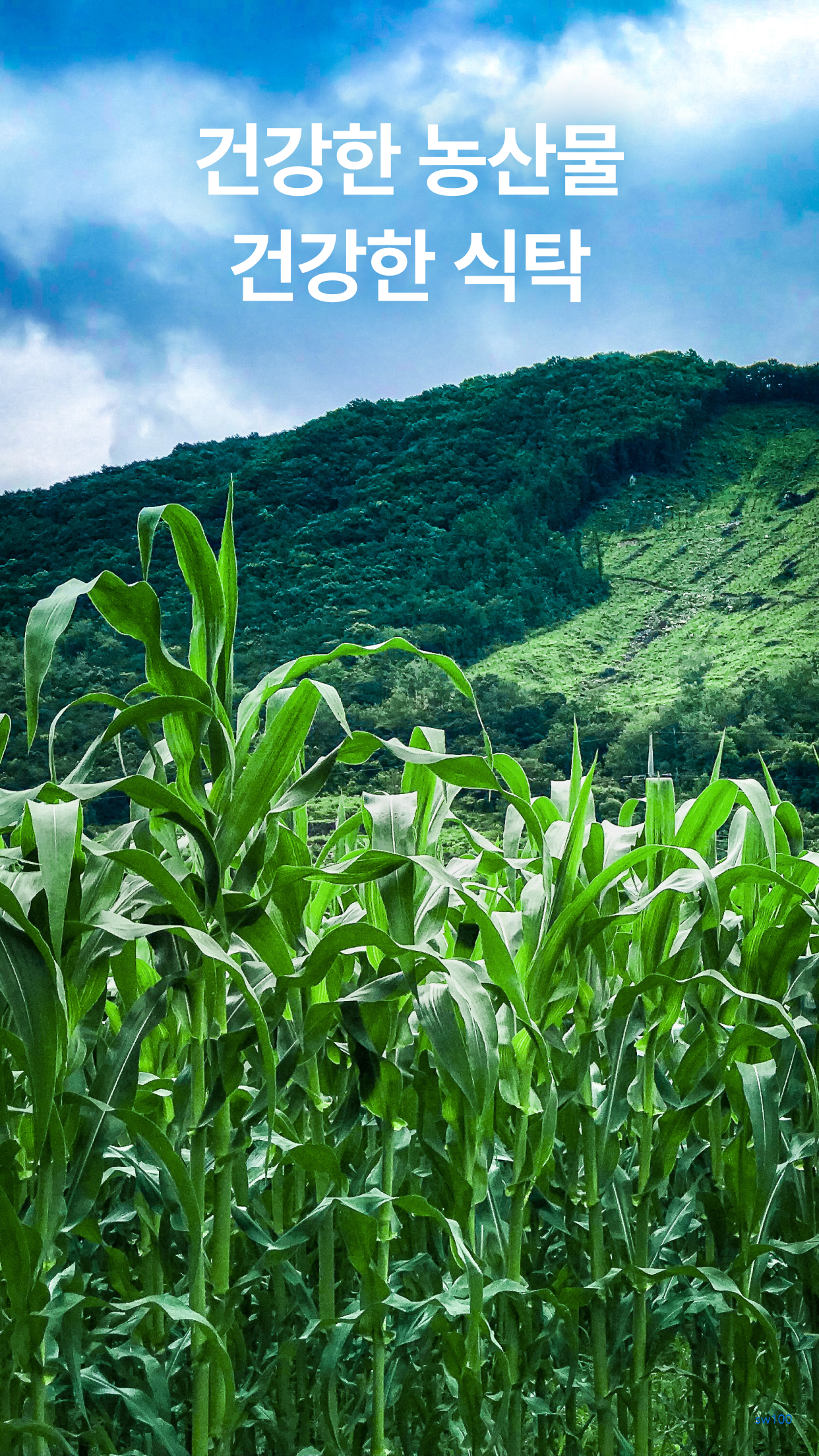 어글리어스 살펴보기 5