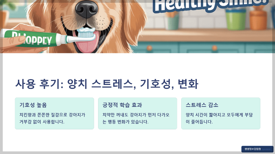 강아지 전용 칫솔 세트 후기 – 구강 건강 지키는 첫걸음