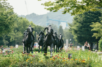 서울 가볼만한 곳 서울숲