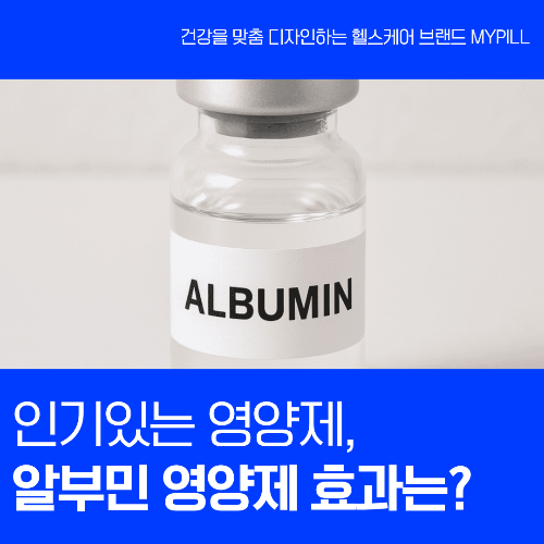 알부민 영양제 효과, 부작용, 섭취 방법