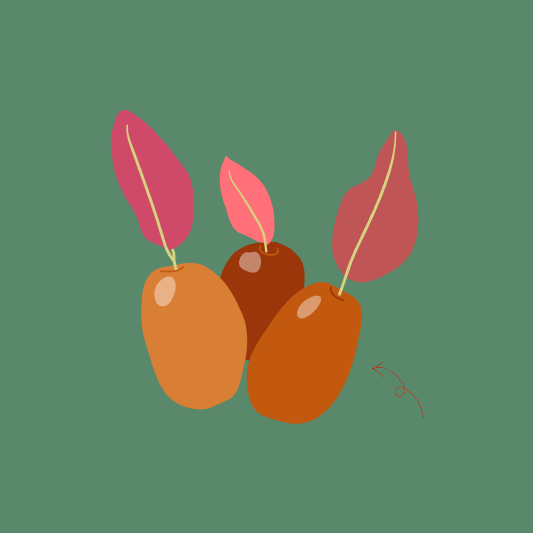 보은-대추-축제