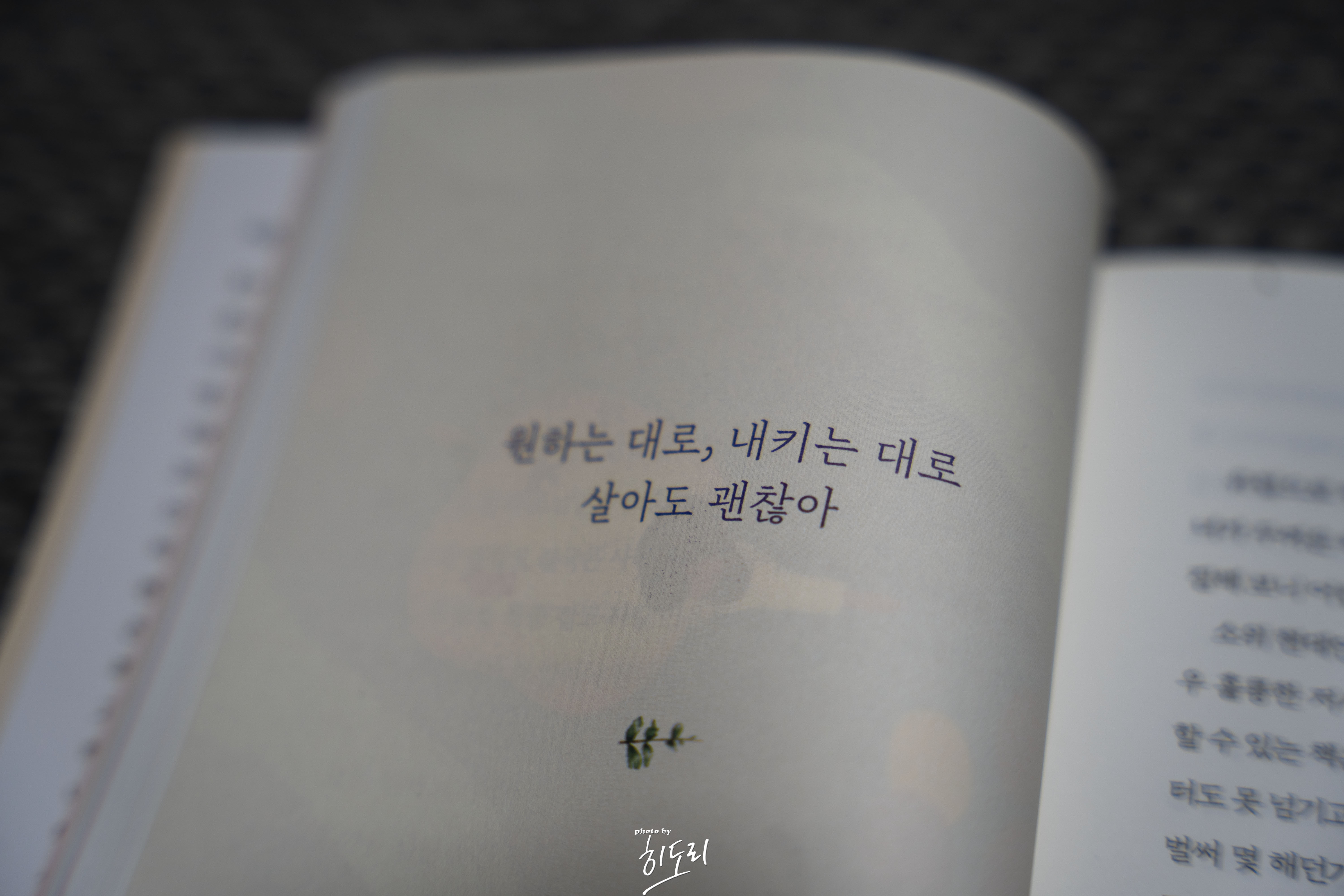후이 <그대만 모르는 비밀 하나> - 나를 먼저 사랑하게 만드는 위로의 에세이 5