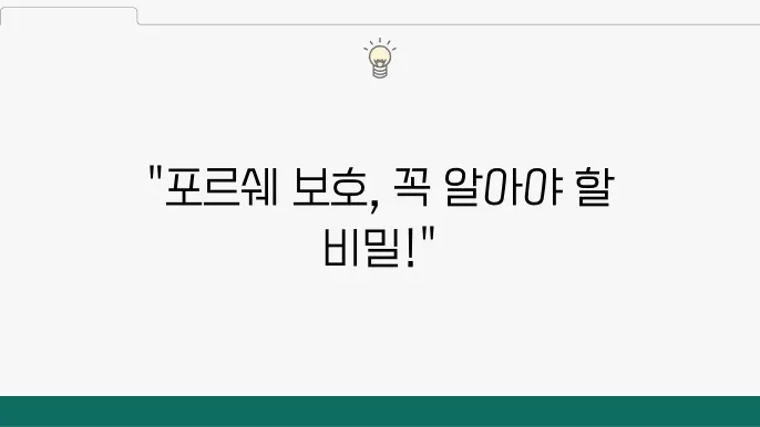 포르쉐 소유자를 위한 PPF 시공 필독 가이드