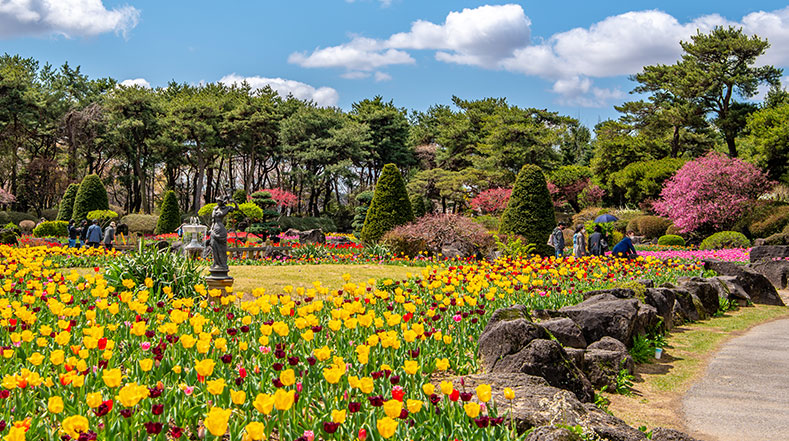 벽초지수목원 봄꽃축제 일정 입장료 맛집 주차장