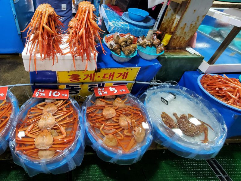 주문진어민수산시장