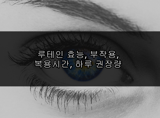 루테인 효능, 부작용, 복용시간, 하루 권장량