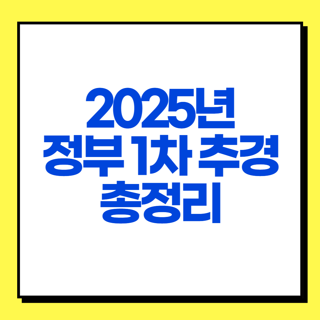 정부추경 썸네일