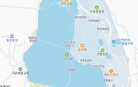 무안연꽃축제