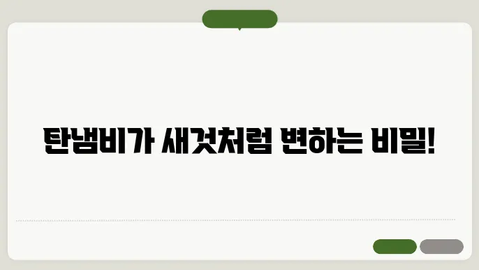 탄냄비 닦는법