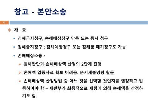 특허침해소송