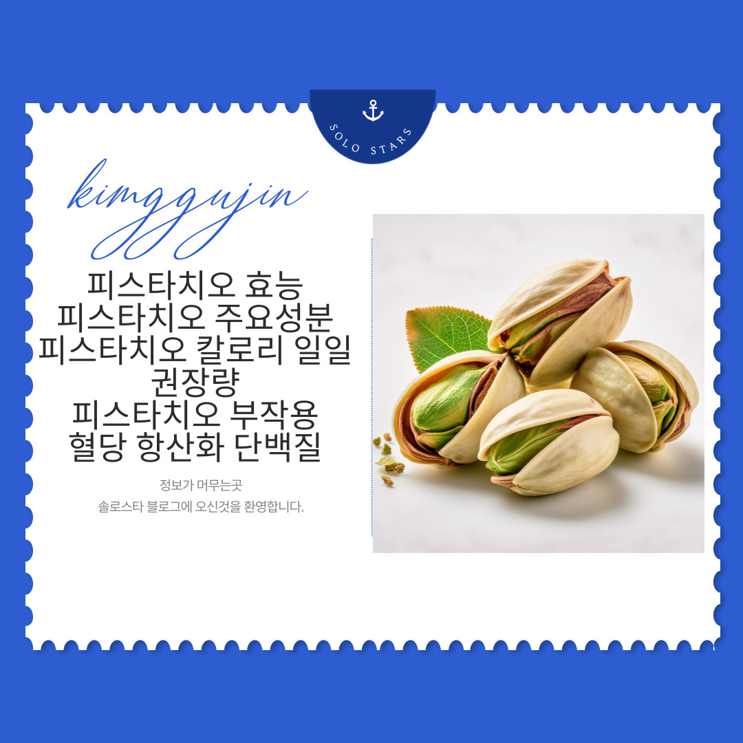 피스타치오 사진