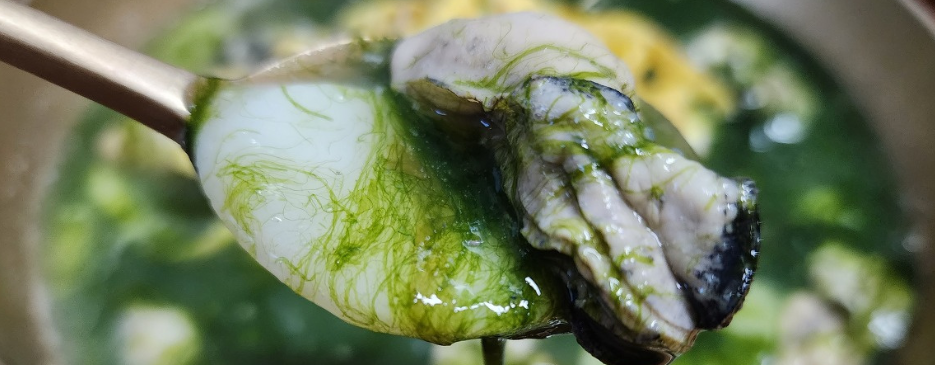 매생이 굴떡국2