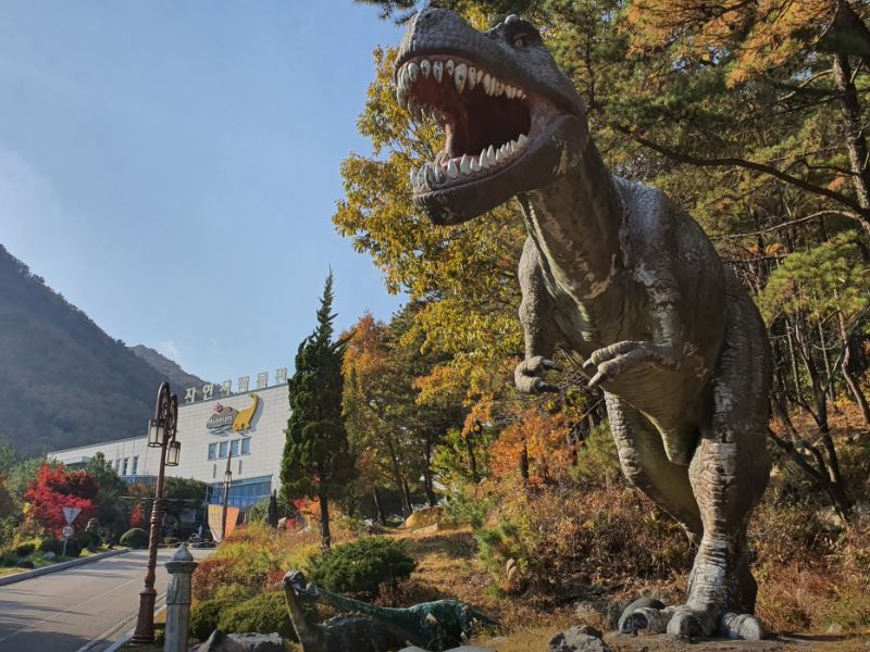 한국자연사박물관