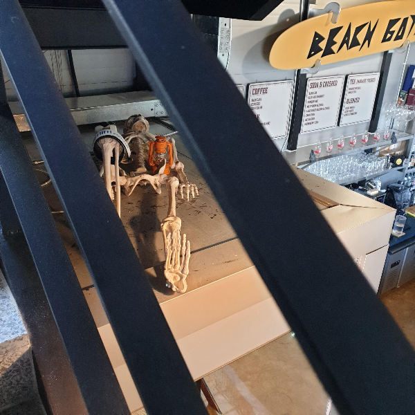 양양 카페 데님 서프 보드스 (Denim Surf boards)_ 매장 내 부 _ 2층 올라가는 계단 옆 누워있는 해골