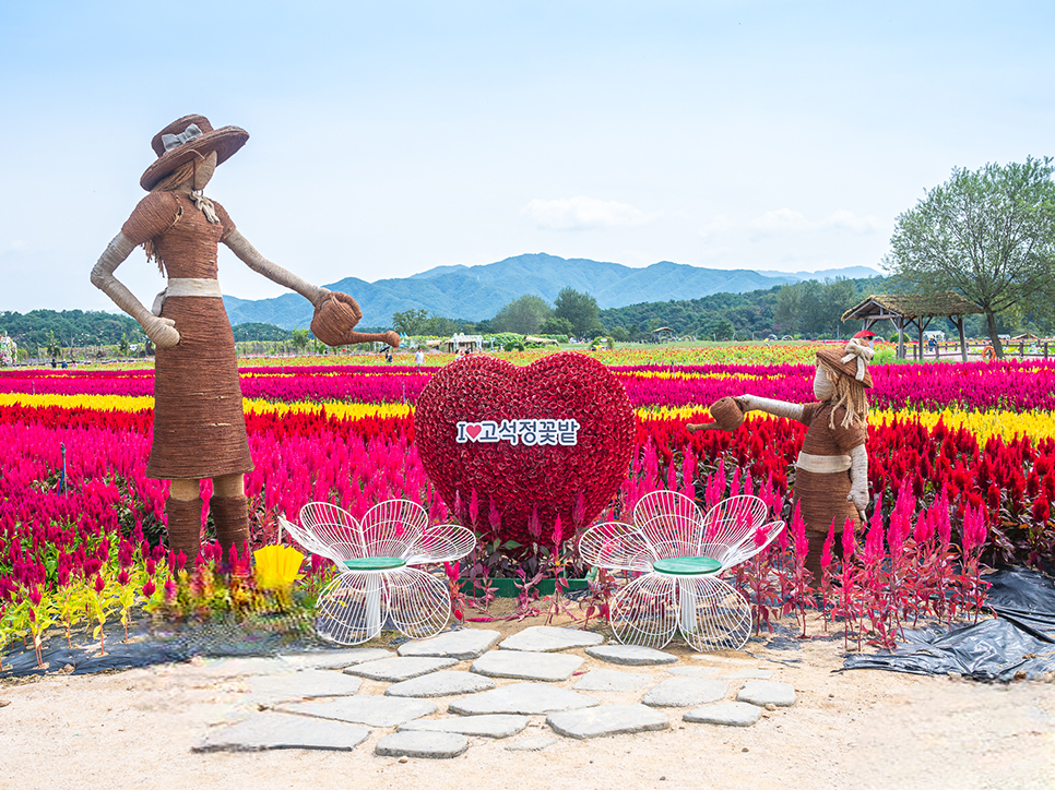 철원 고석정 꽃밭 이미지