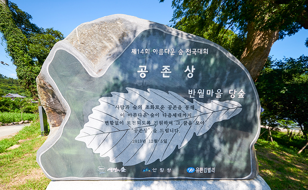 반월마을 당 숲2