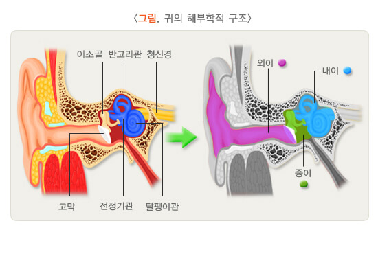 중이염 원인과 치료