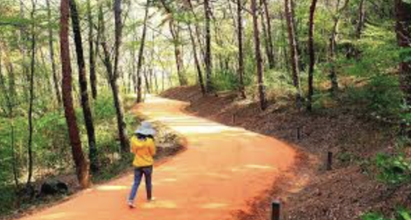 계족산 황톳길 주요 정보