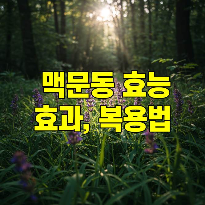 맥문동 효능, 효과, 복용법