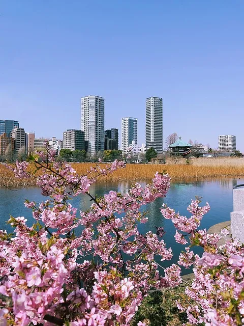웜낚시 노하우 배스 저수지 바닥층 스테이와 라인 텐션 유지_2