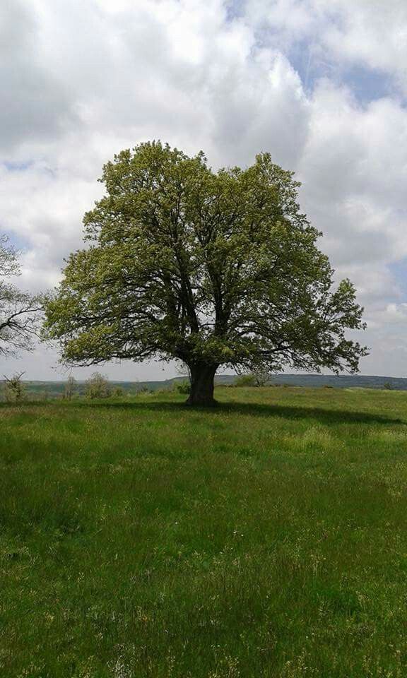 화담숲 예약방법 입장료 할인혜택