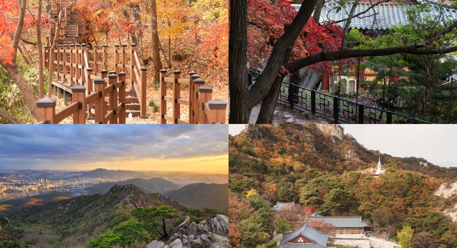 관악산 등산코스